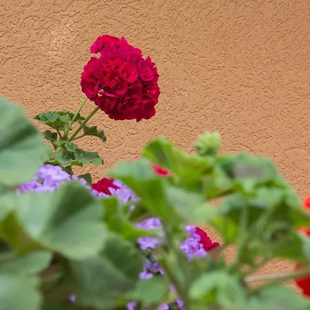 Sunny Complex Hotel apartamentowy